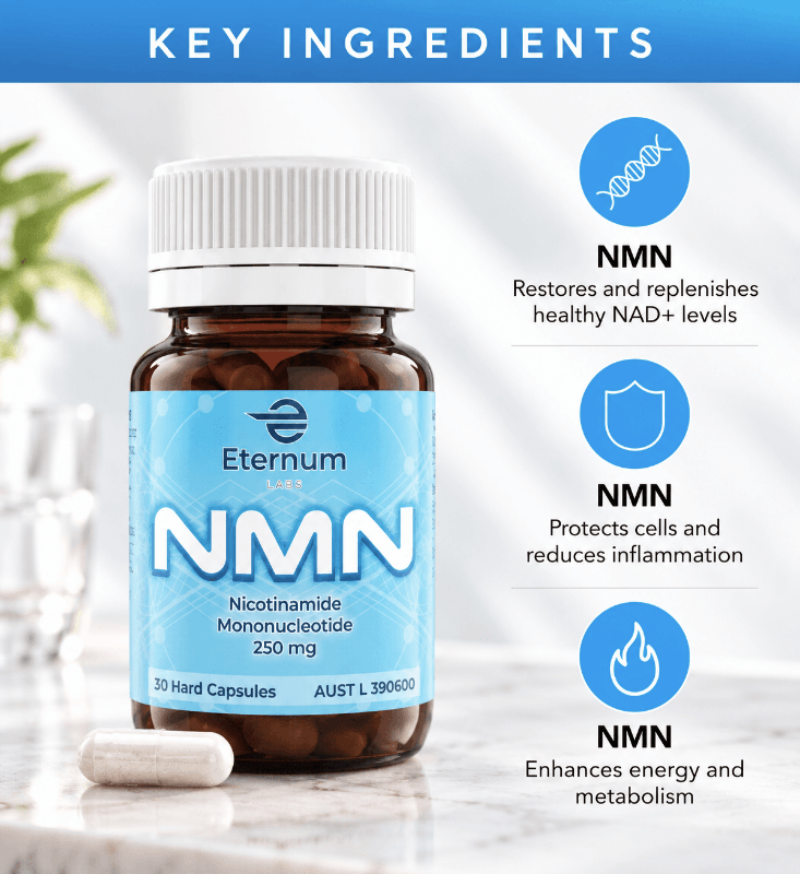 NMN Key Ingredients