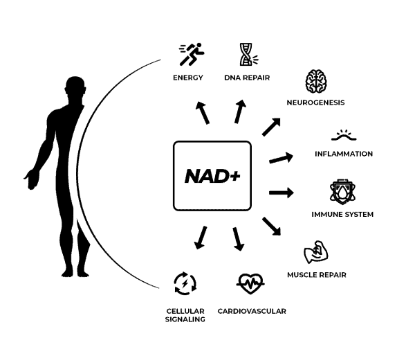 Benefits Of NAD Supplements