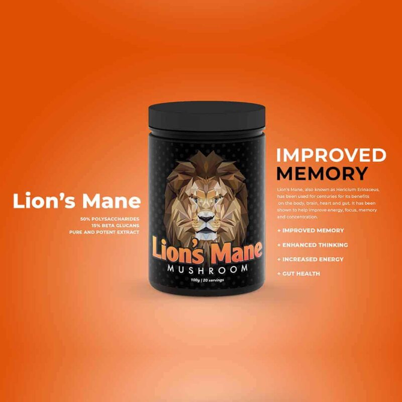 Lion's Mane - Image 3