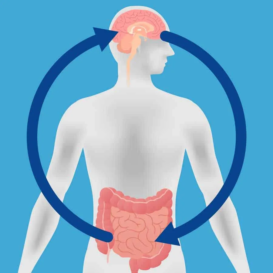 Gut-Health1