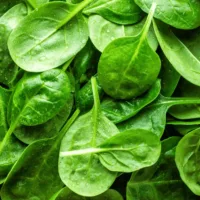 mag_spinach mag_spinach