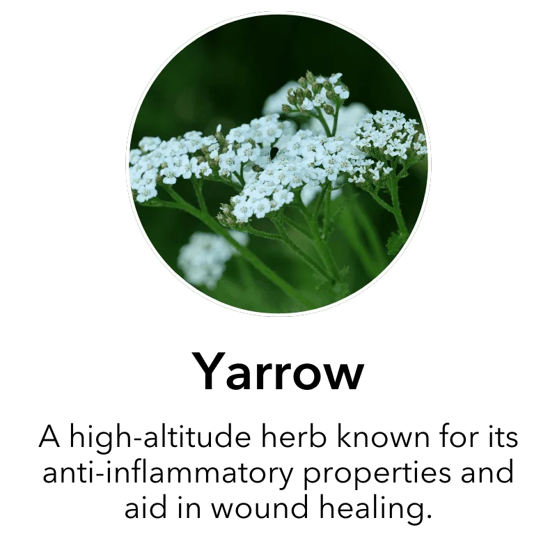 3 (18)