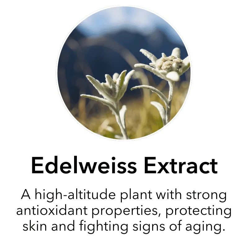 4 (17)
