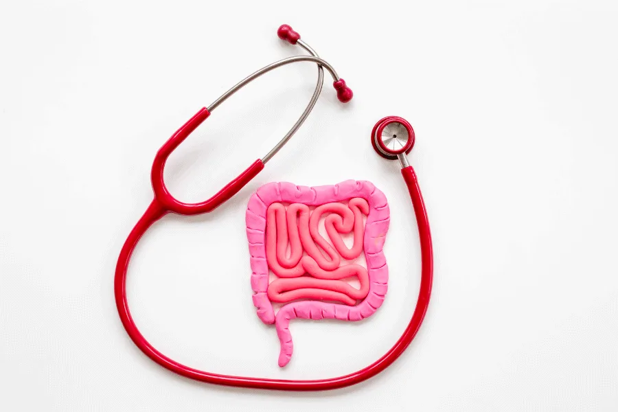 Digestive Health Eternum Labs
