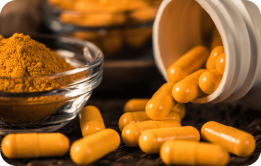 High-Quality Supplements For Immune Health