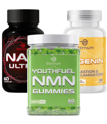 Workout & Recovery Bundle