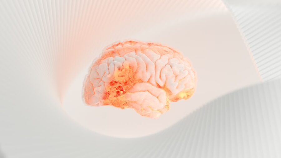 NMN for Brain Health: How It Protects Memory and Prevents Decline