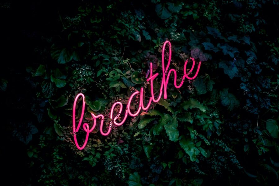NAC and Lung Health: How NAC Supports Respiratory Immunity