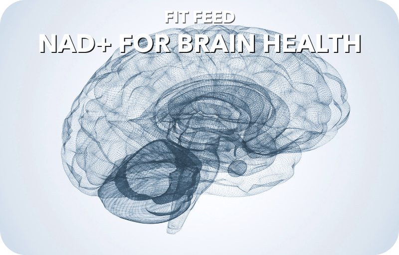 NAD+ Brain Health