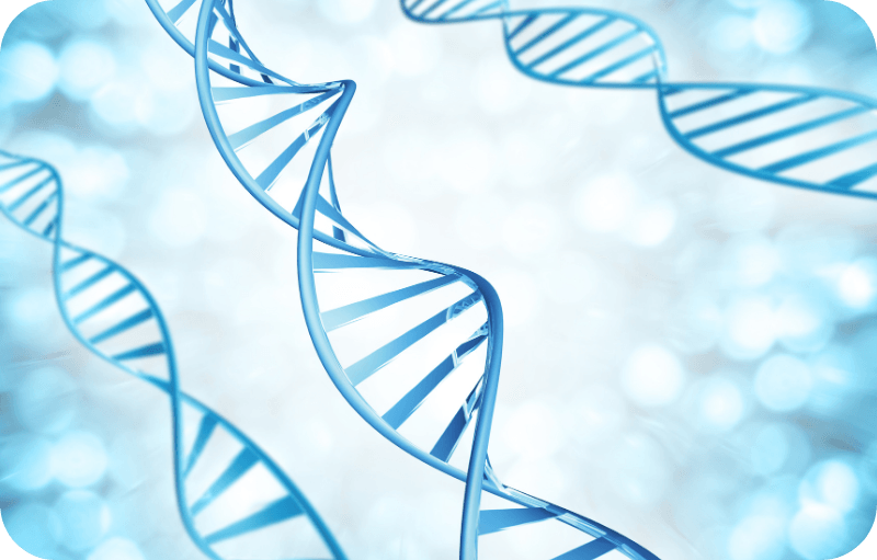 What Really Happens to Your DNA as You Get Older?
