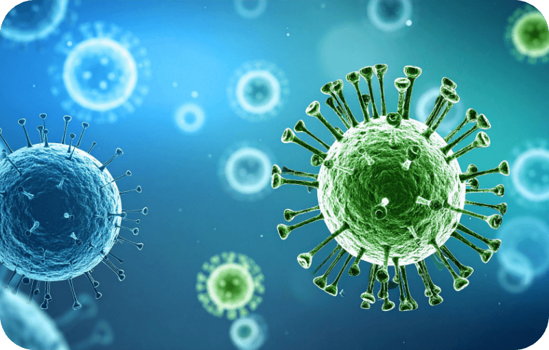 Why Your Immune System Ages Too