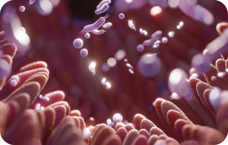 The Hidden World Inside Your Gut