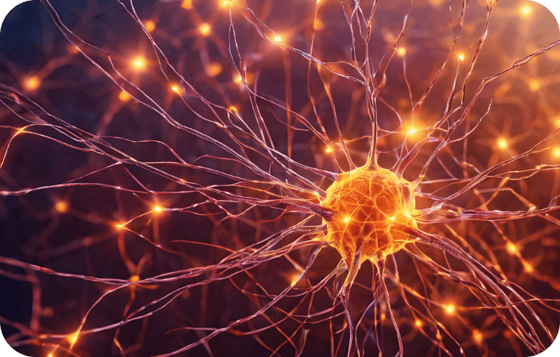 What Really Happens to Your Brain as You Get Older