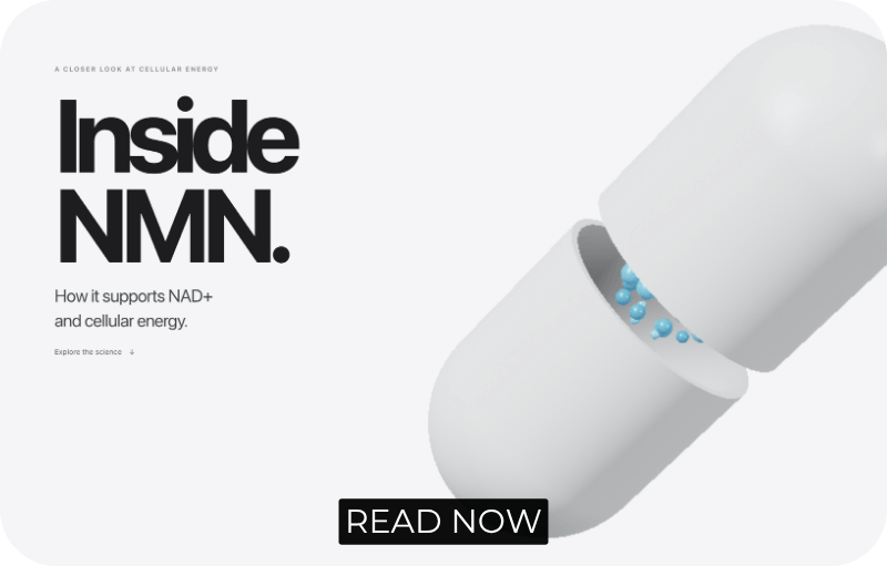 Inside NMN: How It Supports NAD+ and Cellular Energy